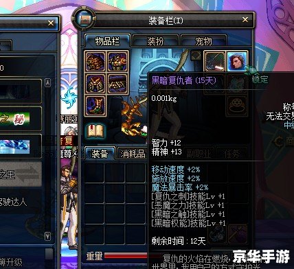 DNF复仇者刷图：高效升级与打怪的技巧