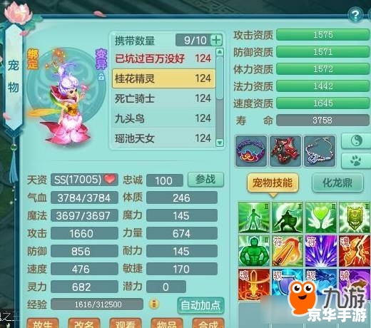神武小昕技能分析