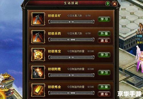 彩虹岛转职证书：开启职业新篇章