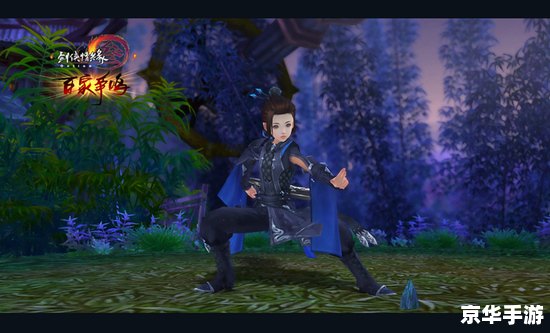 【剑网3定国套】：武侠游戏的华丽服饰与玩家追求