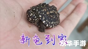 赛尔号迈尔斯技能分析