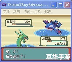 口袋妖怪白金手指：探索神奇世界的金手指