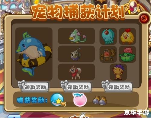 洛克王国一点红：探寻神秘宠物的足迹
