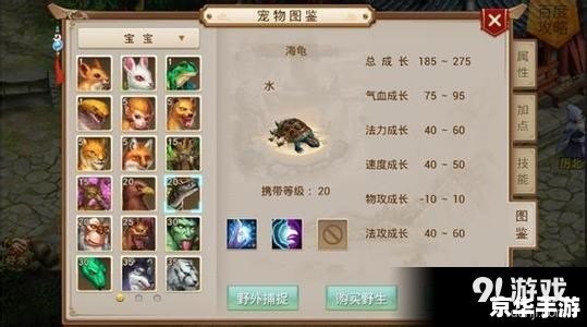 探索《问道天书》的奥秘