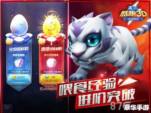 天天酷跑哪个宠物最好？
