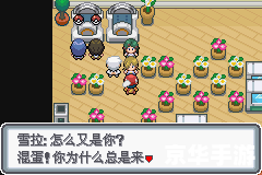 口袋妖怪白金图文攻略