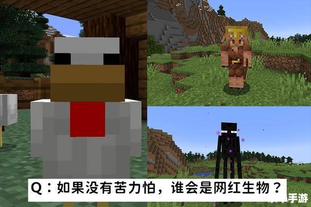 探索我的世界服务器地址：连接冒险的桥梁