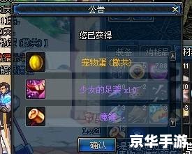 DNF熊猫宠物：可爱的战斗伙伴
