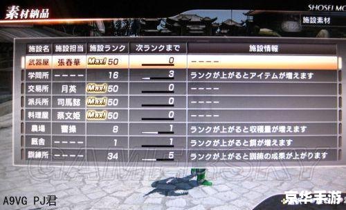 真三国无双4秘籍：提升战斗体验的绝佳助手