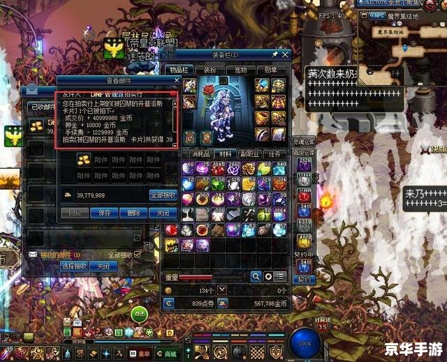 DNF金毛球：游戏内的稀有宠物与玩家心中的瑰宝