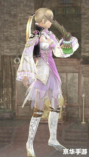 真三国无双6王元姬 真三国无双6：王元姬传