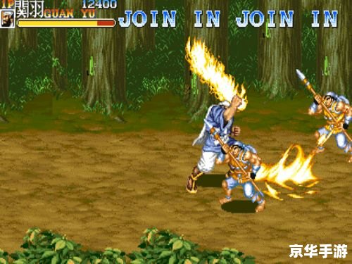 三国志2霸王的大陆武将：英勇无敌，智勇双全