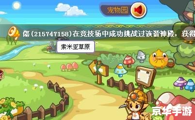 洛克王国小马驹：驰骋草原的勇者之旅