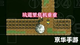 哆啦a梦之大雄的生化危机 哆啦A梦：大雄的生化危机