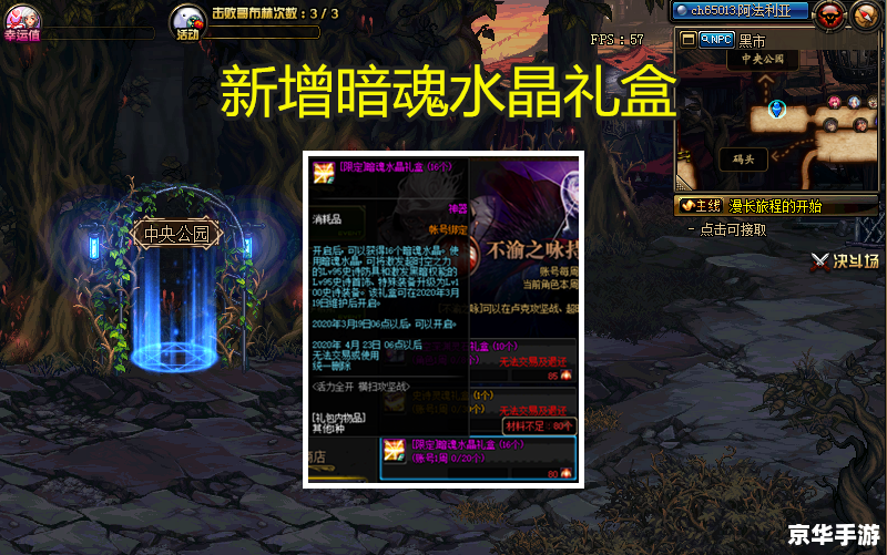 DNF偷渡：冒险家的挑战与机遇