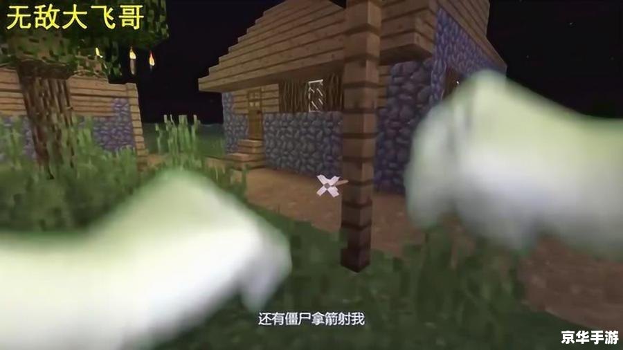 我的世界现实版僵尸 我的世界：现实版僵尸