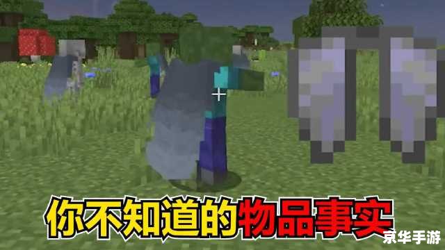 我的世界现实版僵尸 我的世界：现实版僵尸