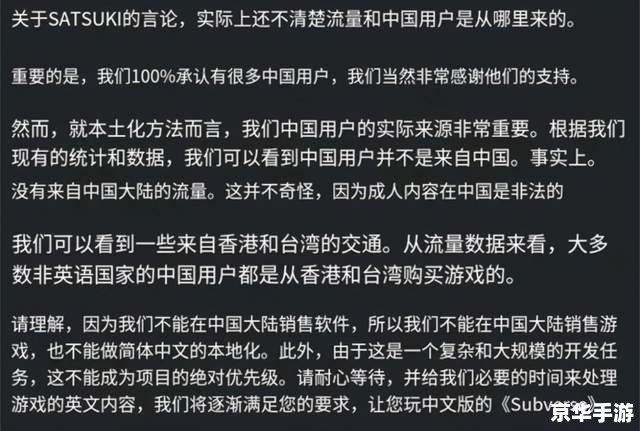 董小飒封号：游戏公正性与玩家权益的探讨