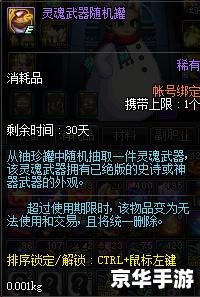DNF神秘人皮肤：揭秘与探讨