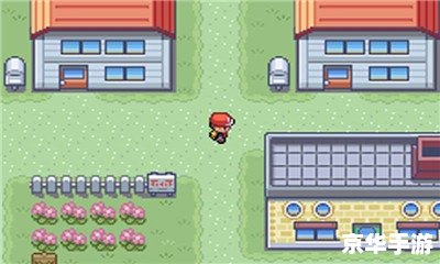 口袋妖怪白金版金手指：探索神奇宝贝世界的无限可能