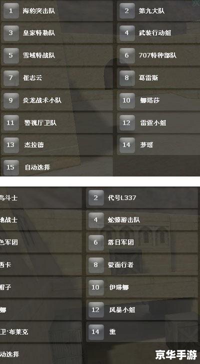 CSOL密码箱：解锁神秘奖励的钥匙