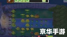 植物僵尸大战 植物大战僵尸：守护花园的英勇之战