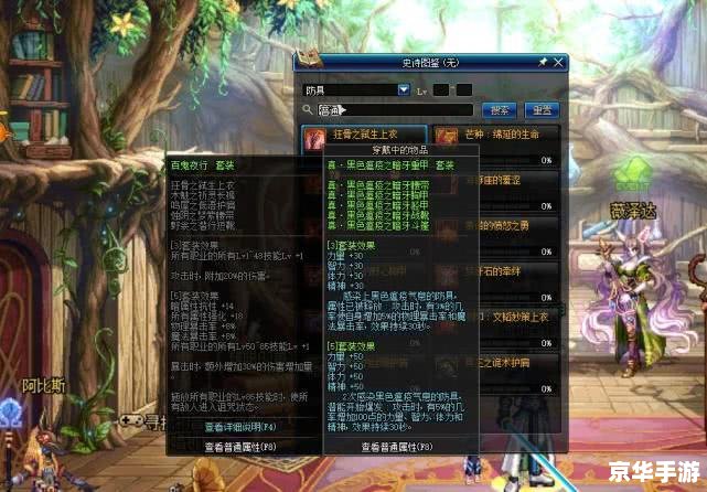 dnfss装备 DNF：深度解析SS装备