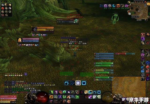 魔兽世界运行不了：解决常见问题与探索游戏世界