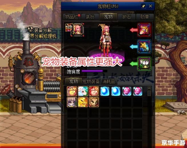 dnf宠物能交易吗 DNF宠物能否交易？
