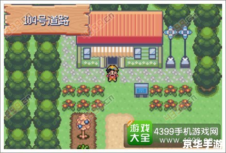 口袋妖怪极光石：探索神秘的宝可梦世界