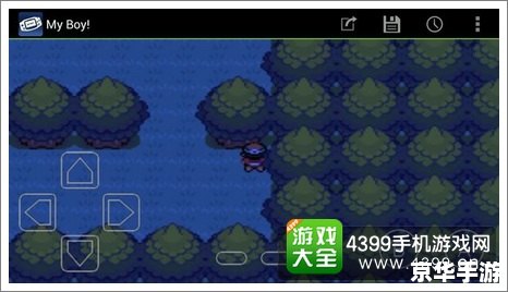 口袋妖怪极光石：探索神秘的宝可梦世界