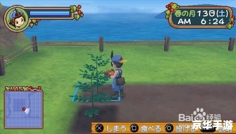 牧场物语蜜糖村攻略 【牧场物语蜜糖村】攻略：打造甜蜜田园生活