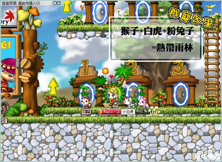 冒险岛大丽花：探索花朵背后的秘密