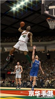 nba2k13 攻略 建议：《NBA 2K13攻略大全》