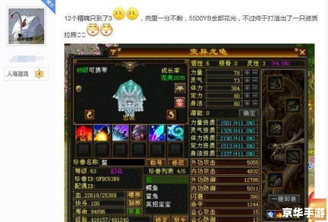 天龙八部脚本莫愁：游戏内的精彩世界与玩家互动