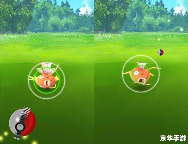 Pokemon Go安装指南：一步步教你如何玩转神奇宝贝