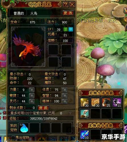 QQ自由幻想SS技能解析与应用