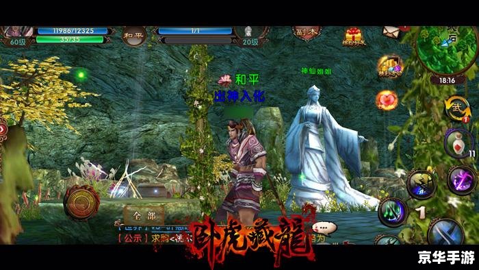 九阴真经太极拳奇遇——探秘与战斗的终极武学体验