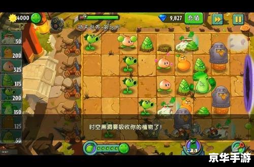 植物大战僵尸打字版：全新玩法，挑战你的打字速度与游戏技巧