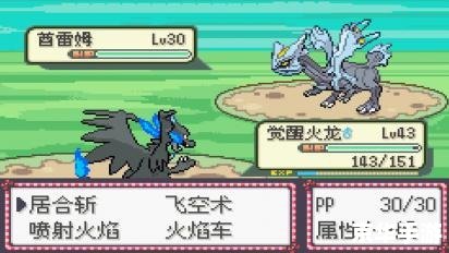 口袋妖怪护林员2 中文标题：