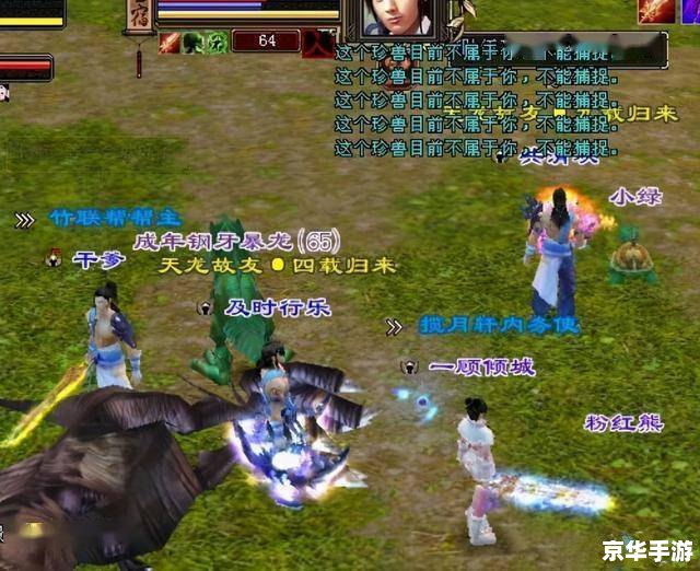 建议：《天龙八部怀旧版官网：重温经典，再燃武侠情怀》