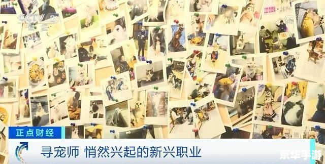 找你妹正式版——独具匠心的寻物之旅