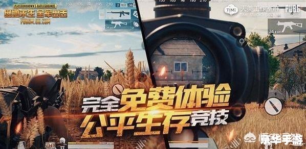 刺激战场和全军出击 建议：《刺激战场与全军出击：两款热门战斗游戏的分析与比较》