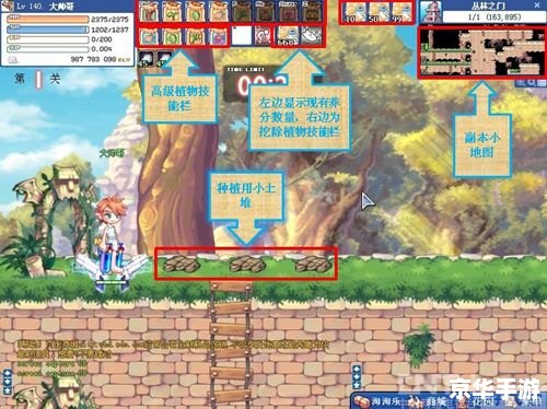彩虹岛新职业来临：探索与战斗的全新篇章