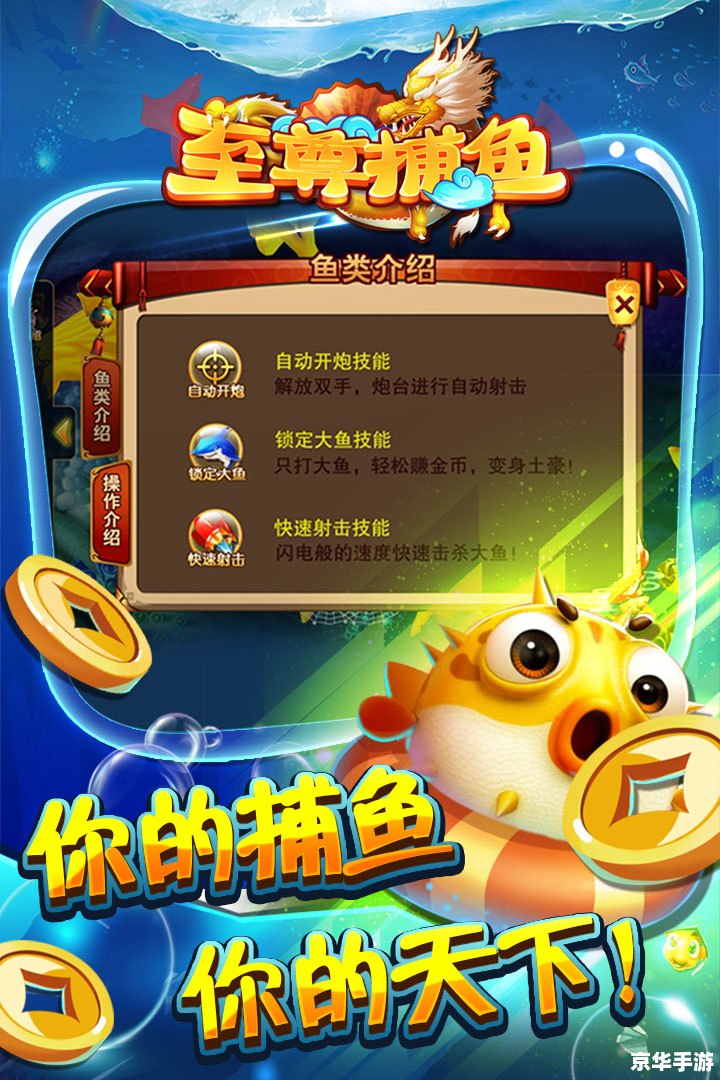 DNF无限负重：突破限制，畅享游戏乐趣