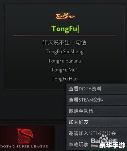 dota2怎么加好友 建议：《DOTA2如何添加好友及其相关游戏功能解析》