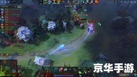 建议：《Dota作弊现象：剖析与防范》