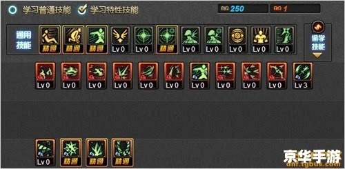 建议：《新破天一剑加点攻略：技能与属性分配全解析》