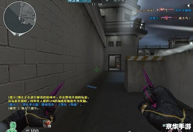 穿越火线挂：游戏内外挂现象的深度解析