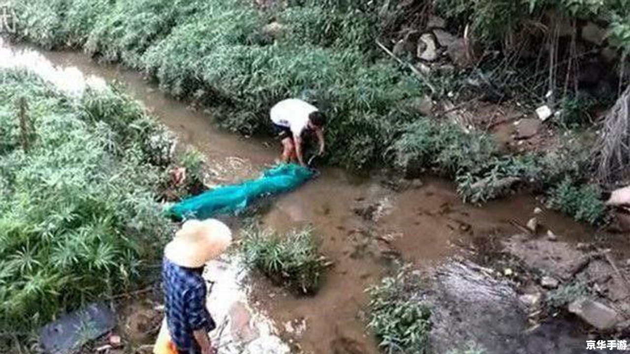 鱼鱼桌面秀怎么用